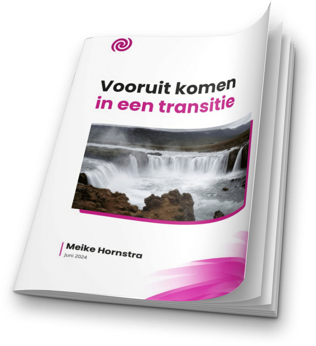 E-book - Vooruit Komen In Een Transitie - 3D